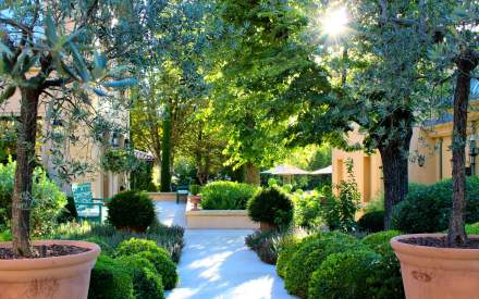 Jardin du restaurant Ama Terra, au centre-ville d'Aix en Provence